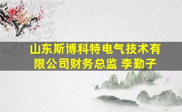 山东斯博科特电气技术有限公司财务总监 李勤子